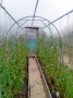 1538969533308